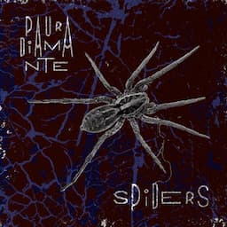 Spiders