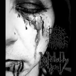 Perpetually Pist / Pout split w/ me