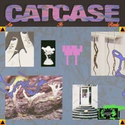 As it Reels - Catcase