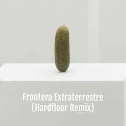 Frontera Extraterrestre - Hardfloor Remix - pdqb & Hardfloor