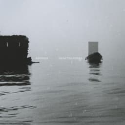 Moon Of Feathers - Ashinoa