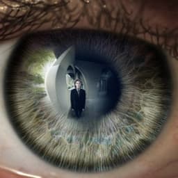 Gesellschaft - PLÉTHORE