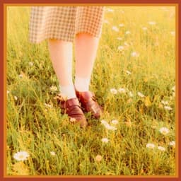 Tissues and Flowers - Vic Velvet