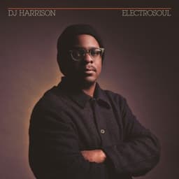 Ballade de Vixen (feat. Miguel Atwood-Ferguson) - DJ Harrison & Miguel Atwood-Ferguson