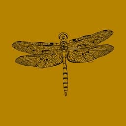 Brisa - Sapocaya & Matu Miranda