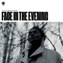 Face in the Evening - ALA.NI & Adrian Younge