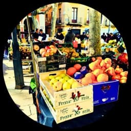 ElMercat - Oscar Aullon