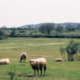 GODSPEED - april june & Richie Quake