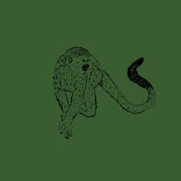 Floresta - Sapocaya & Carlos Malta & Bernardo Aguiar